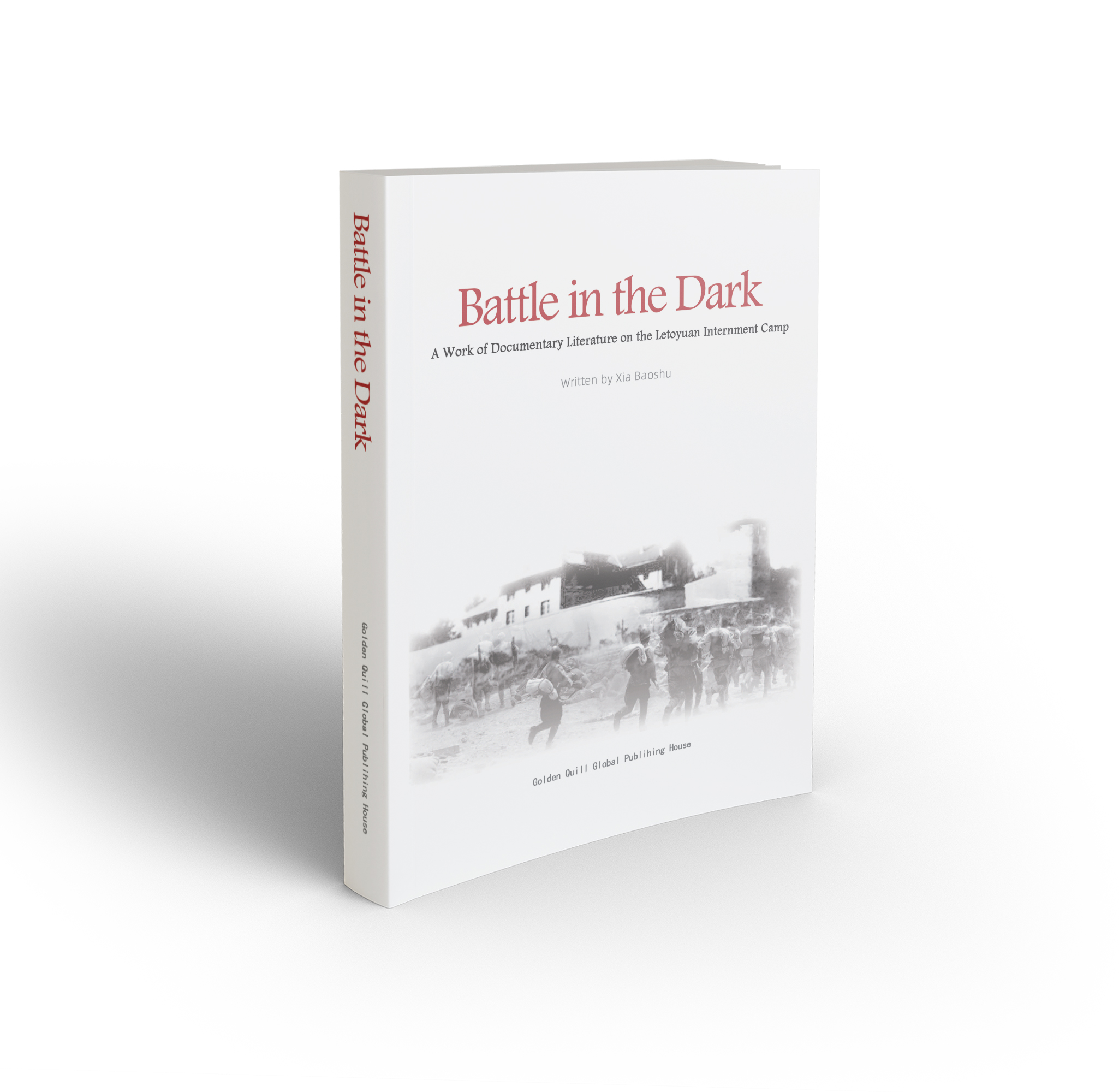 Battle in the Dark — book cover